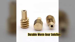 Durable Worm Gear Drive Precision Engineered Performance