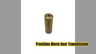 Alloy Steel Worm Gear Transmission Set